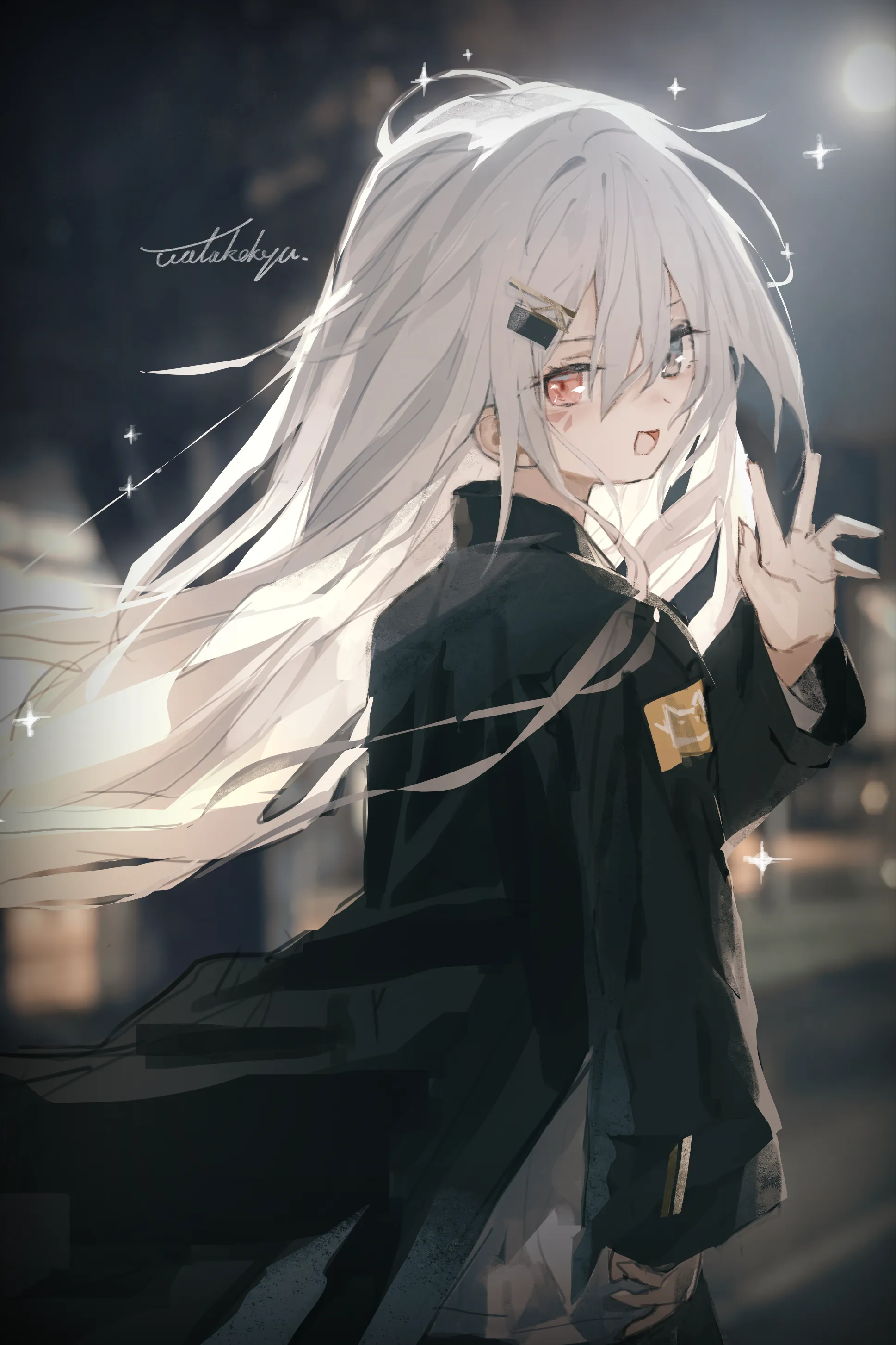 v-207