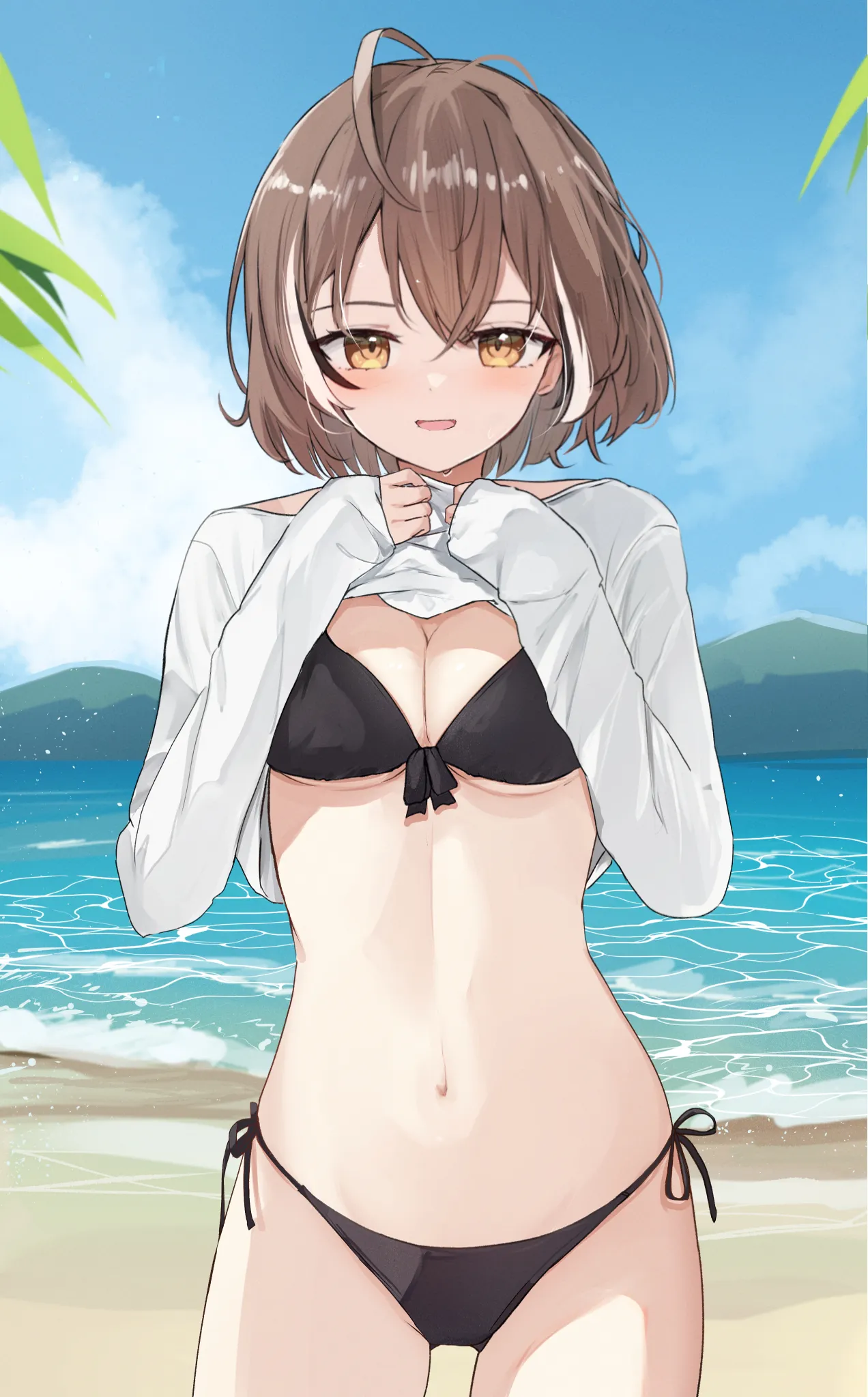 v-212