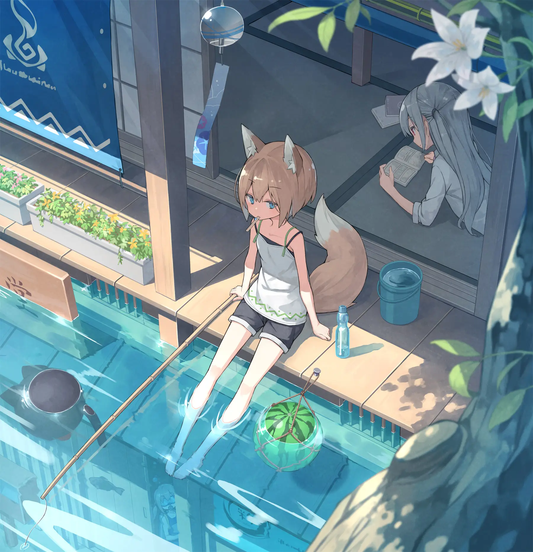 v-2233