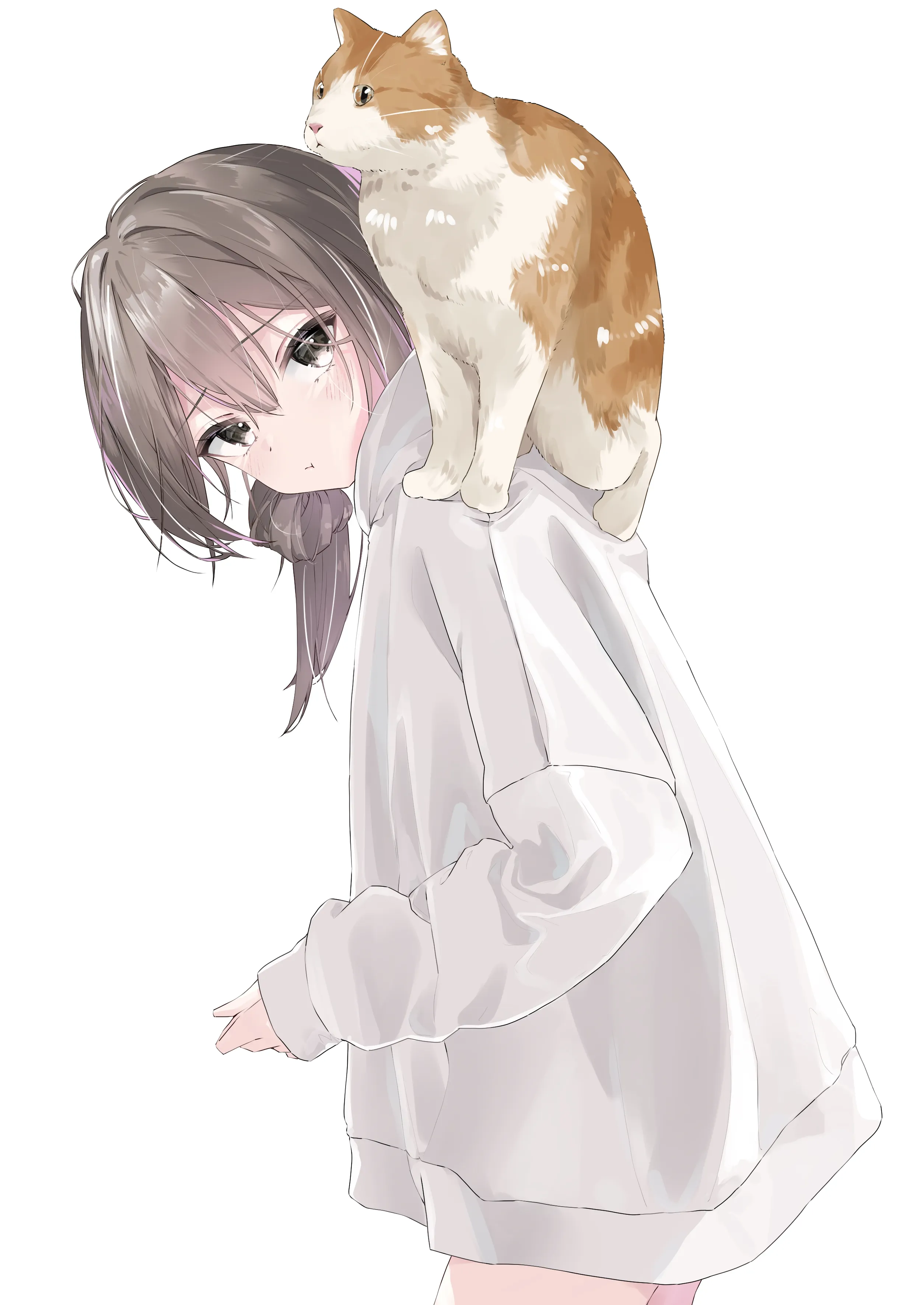 v-2272