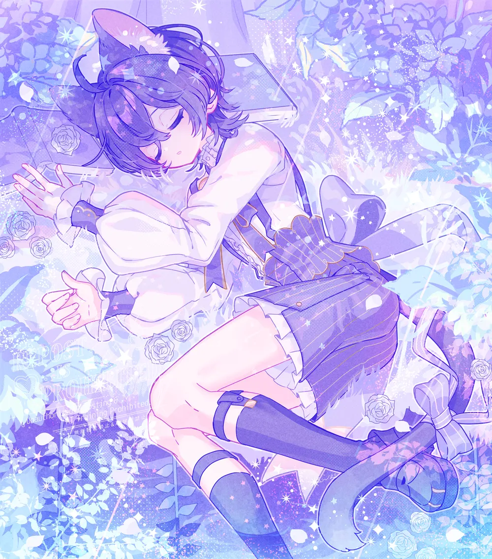 v-2549