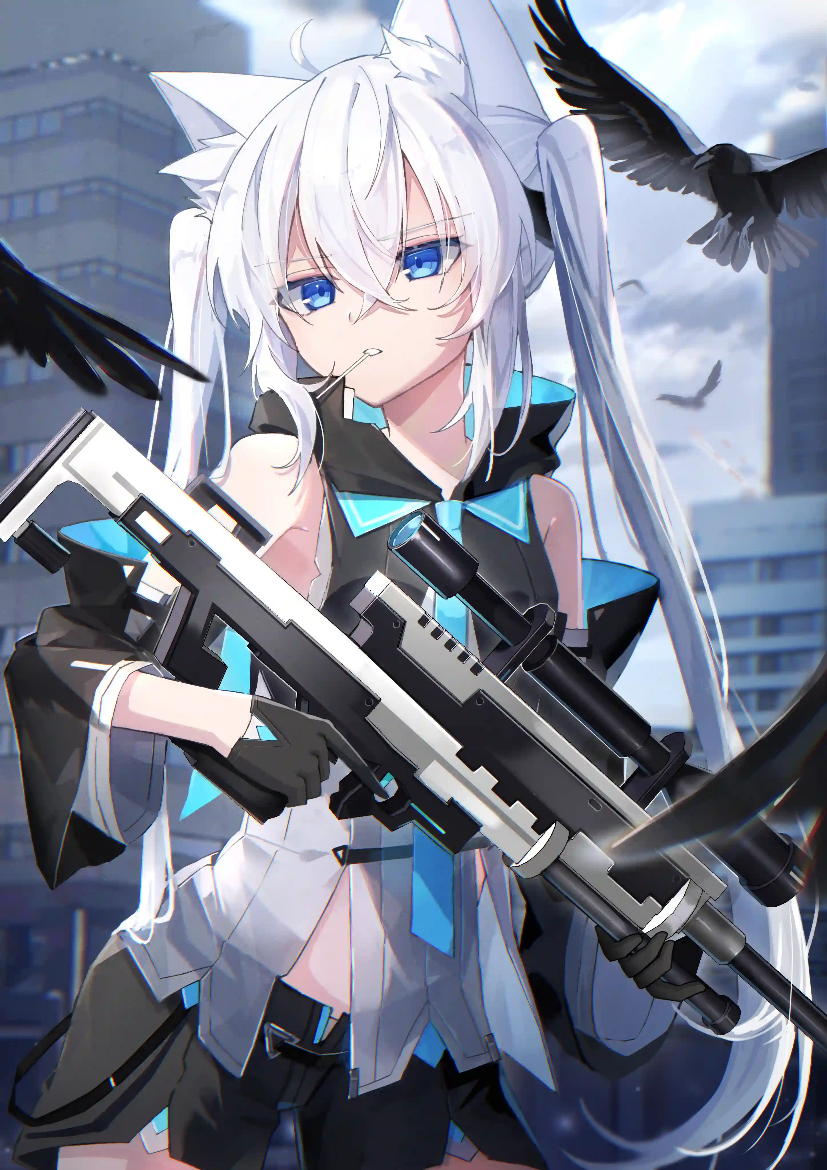 v-2551