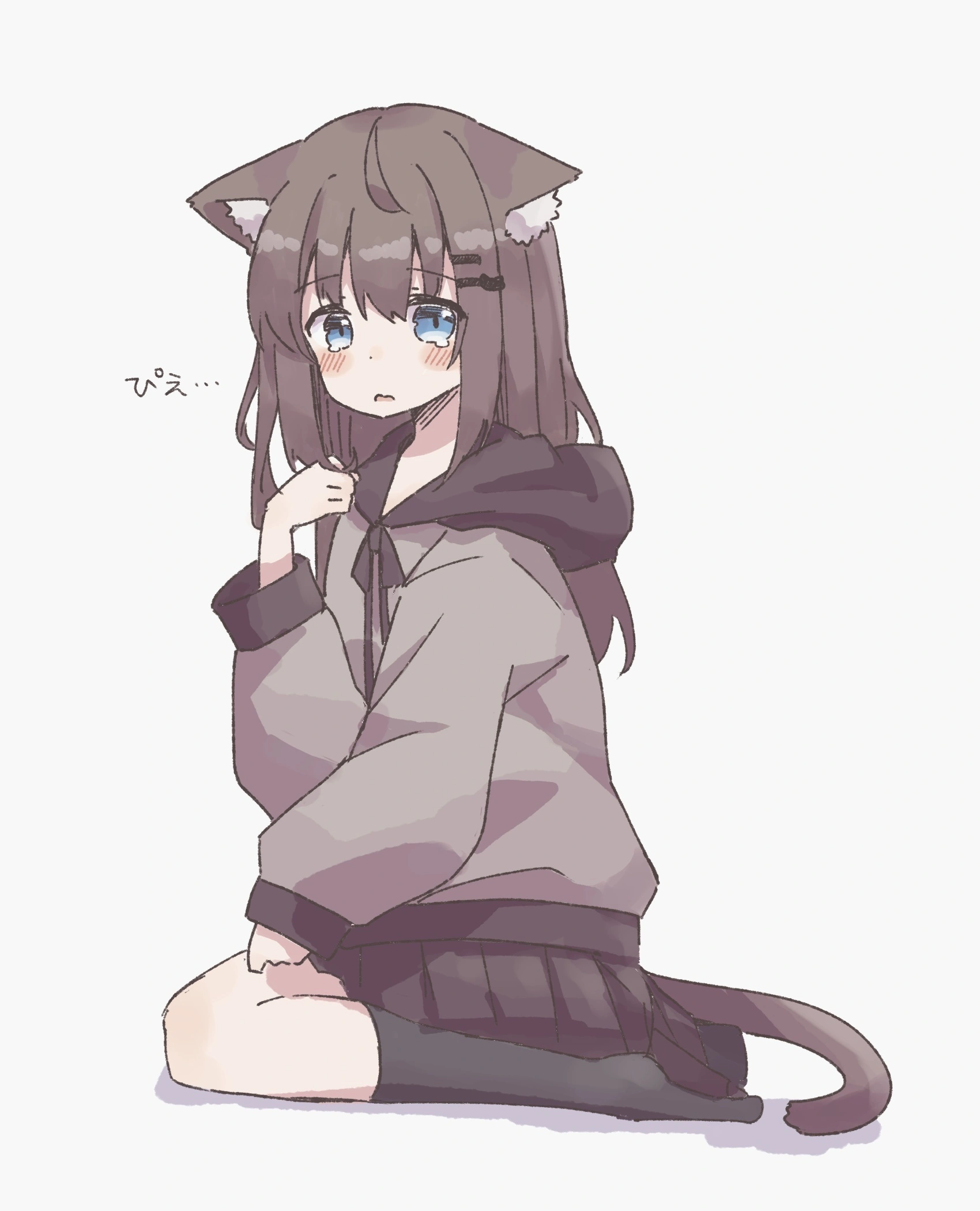 v-2646
