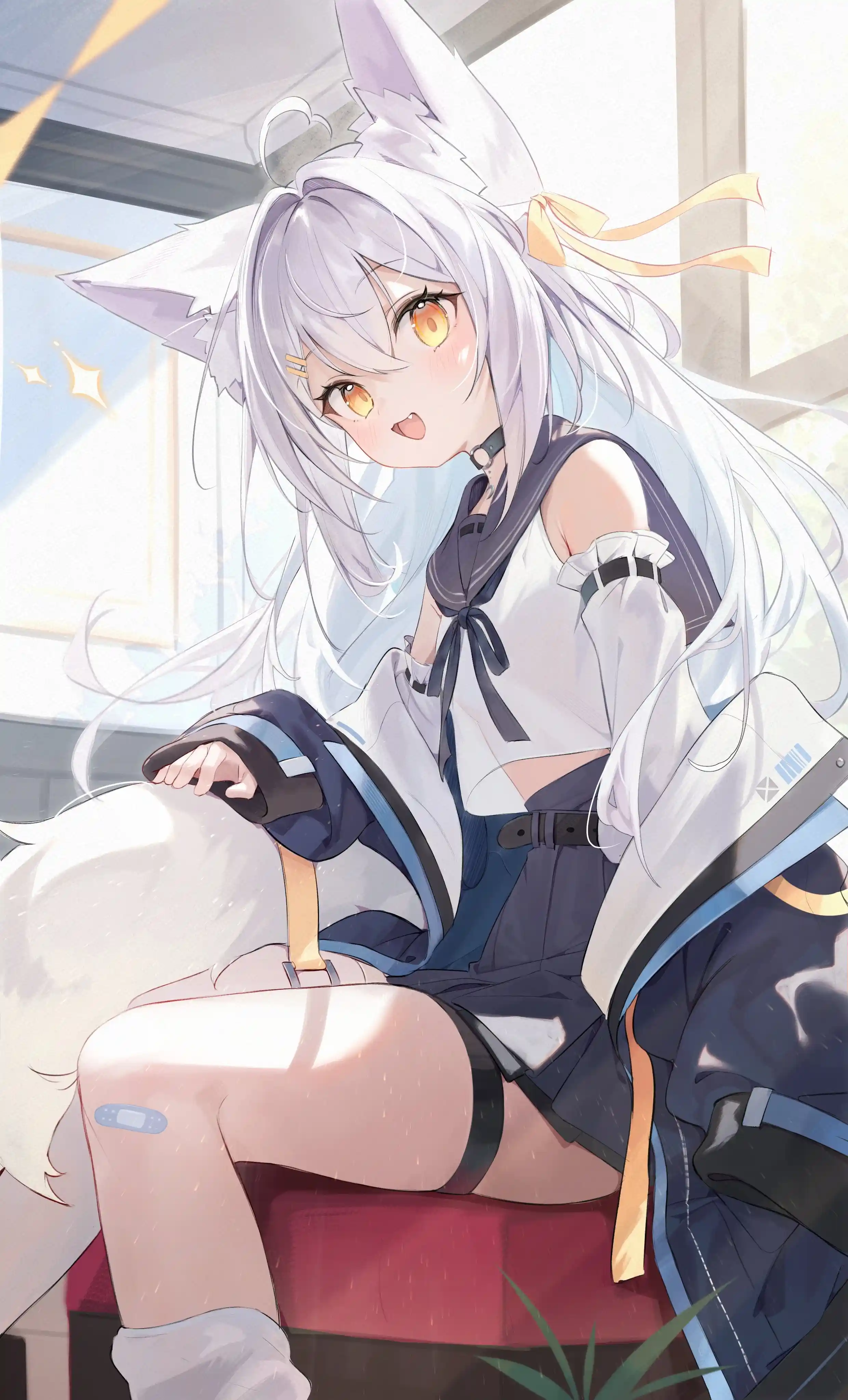 v-2987