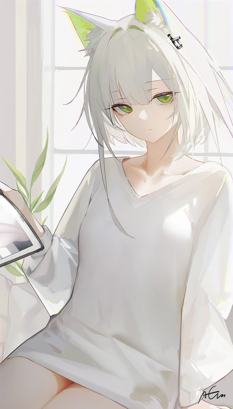 v-501